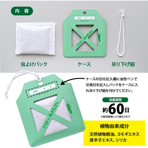 さらカメ　内容.jpg