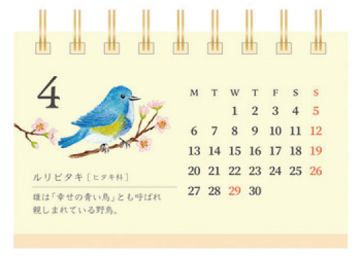 https://shizuoka.hands.net/item/meisi-3-b%28350x250-525x375%29.jpg